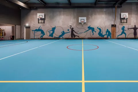 ¿Para qué sirve el piso deportivo de poliuretano tipo Pulastic? 1 piso deportivo de poliuretano tipo Pulastic