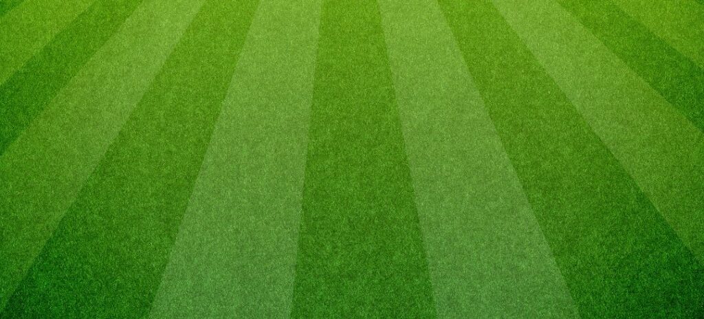 Mi Pasto Sintético Está Desgastado ¿Qué Hago? Canchas de Fútbol Sintético en Chile