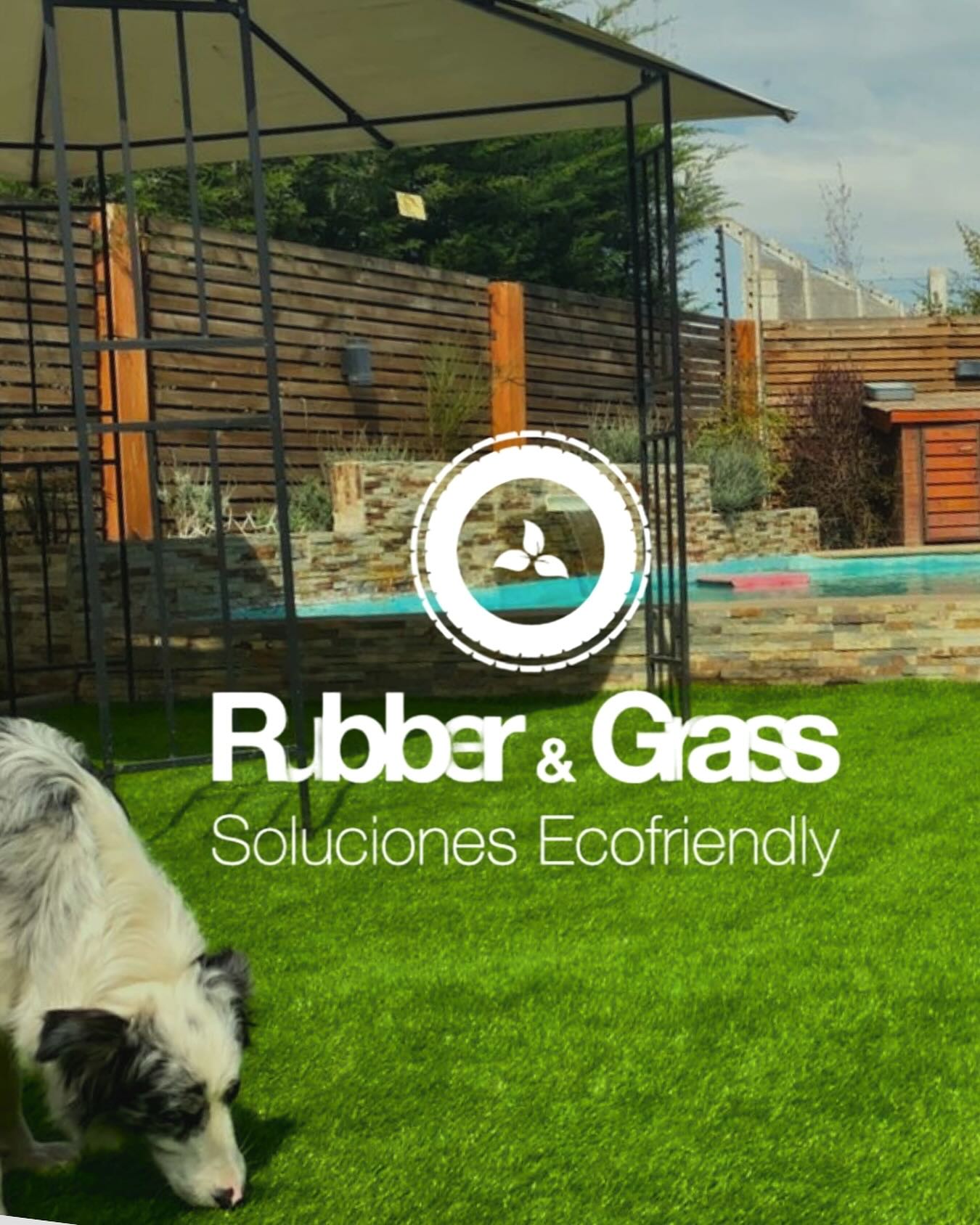 Pasto Sintético Pinneado Rubber Grass